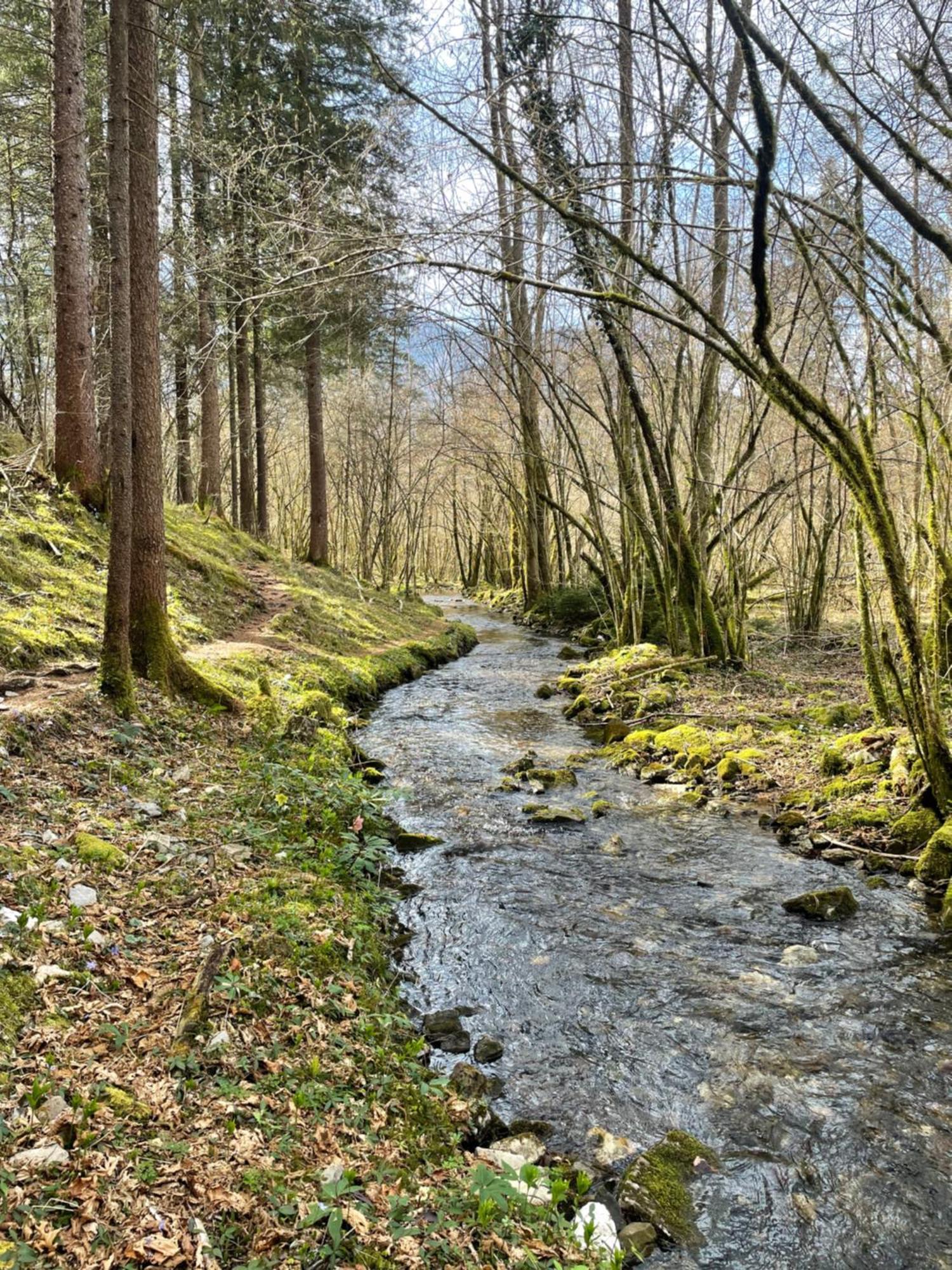 Ortighera Monolocale Relax Sulla Ciclabile Lenna Esterno foto
