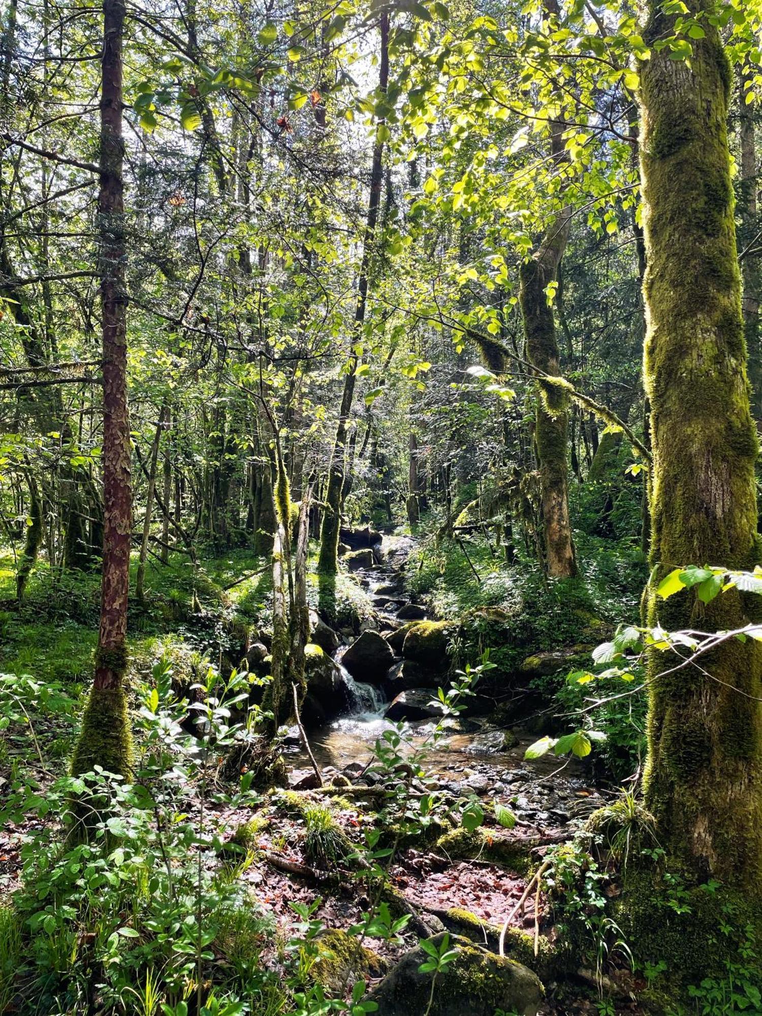 Ortighera Monolocale Relax Sulla Ciclabile Lenna Esterno foto